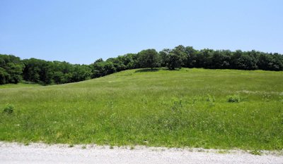 farm