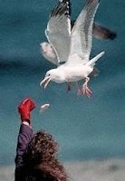 Mary feeding a bird